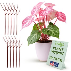Twigs GA - Plant Support Stakes for Indoor & Outdoor Use, Durable Trellis Alternative for Climbing & Potted Plants, Houseplant Stem Holder Structures - Begonia Red, 10 Pack, 22" L, Original