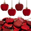 48 Pcs Back to School Apple Ornaments, Small Red Apples
