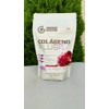 Colágeno Hidrolizado Ácido Hialurónico Glucosamina 500g Nano