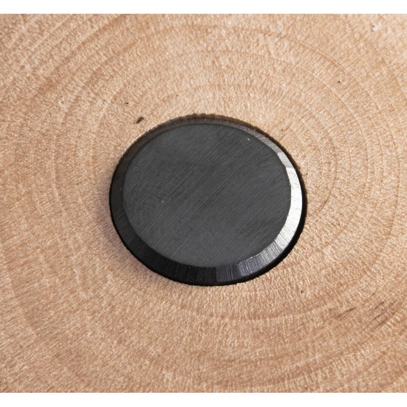 Magnet | Magnet | Gift | Decorative Souvenir on Logs