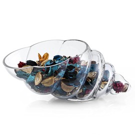 MDLUU Glass Shell Vase, 11-Inch Seashell Potpourri Holder, Large Decorative Conch Bowl for Shell Collection Display, Sea Glass, Air Plant