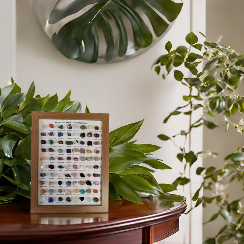 80 Pcs Natural Mineral Specimens : Classic Collection of Crystal,