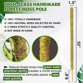 Duspro 52'' Forest Moss Pole for Plants, Forest Tall Moss Poles for Climbing Plants Monstera, Sphagnum Moss Stick for Monstera Plant Support, Handmade Plant Stakes for Indoor Plants Grow Upwards