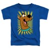 Popfunk Scooby Doo! Big Head Kids T-Shirt for Toddler Boy's