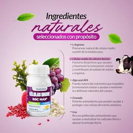 Suplemento CELULAS MADRE RGC MAX (60 tabletas de 500mg cu) 100 Naturales, Anti-oxidativo, Brinda Energa. Para Regeneracion Celular, Refuerzo...       