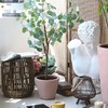 SGYUNQ Plant Pot Grid Soil Protector Covers Cuttable Flower Protector
