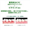 GUM Dental Paste (Salty Mint in Box) 5.3 oz (150
