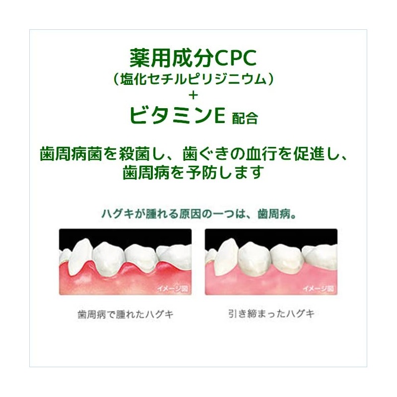GUM Dental Paste (Salty Mint in Box) 5.3 oz (150