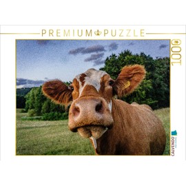 CALVENDO Puzzle Simmental Cattle | 1000 Pieces Size 25" x 19"