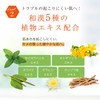 Sea Body VC Lotion