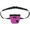 FLYING TAIL Dog Training Pouch with Magnetic Snap Closure, Waist
