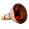 BONGBADA Heat Lamp Bulb R40 175 Watt 6 Pack Painted