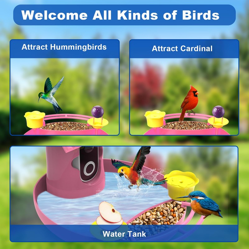 Bird Feeder with Camera - 4K HD Live View, Smart