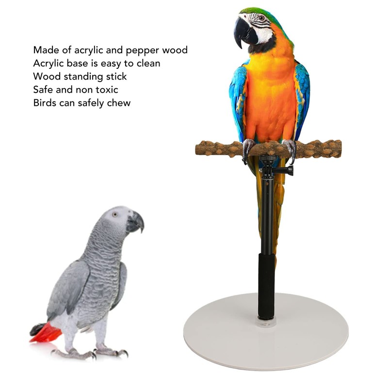 Bird Perch Stand, Adjustable Height Parrot Training Perch Stand Portable