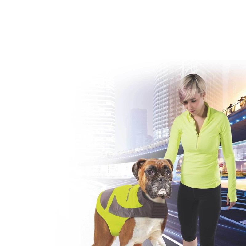 All For Paws AFP3311 Reflective K-Nite Vest, S