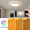 Oliterlux Crystal Flush Mount Ceiling Light, Dimmable LED Modern Close
