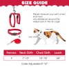 PAWCHIE Cat Harness with Leash and Collar Set - Escape