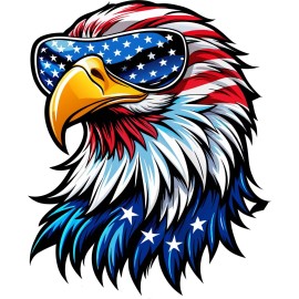 Visionary Enterprises Eagle Head Shades American Flag RV Motorhome Camper Vinyl Decal Sticker 18"x22"