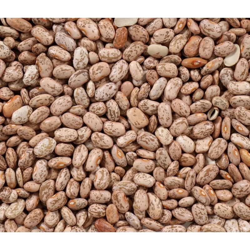Morrison Farms Bulk Pinto Beans, 1lb bags, Triple Washed, Non-GMO,