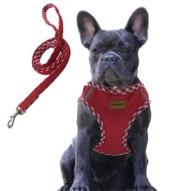 Aiminto Denim Dog Harness & Leash Set, Breathable Mesh, Lightweight, Reflective Harness Chest - For Medium Dogs (M, Torso Range 42-48cm, Red)