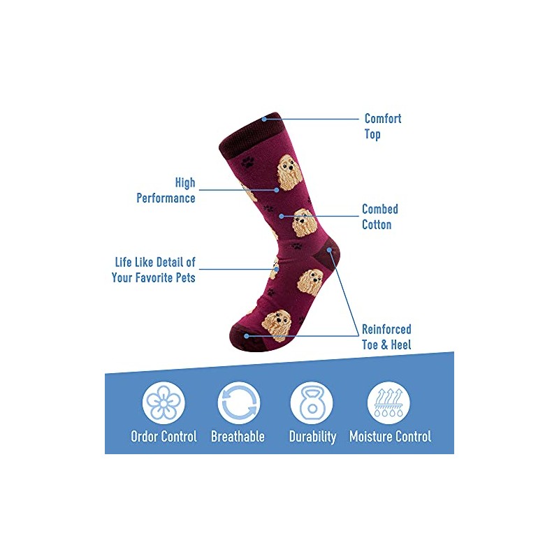 Sock Daddy Cocker Spaniel Dog Breed Socks Unisex by E&S