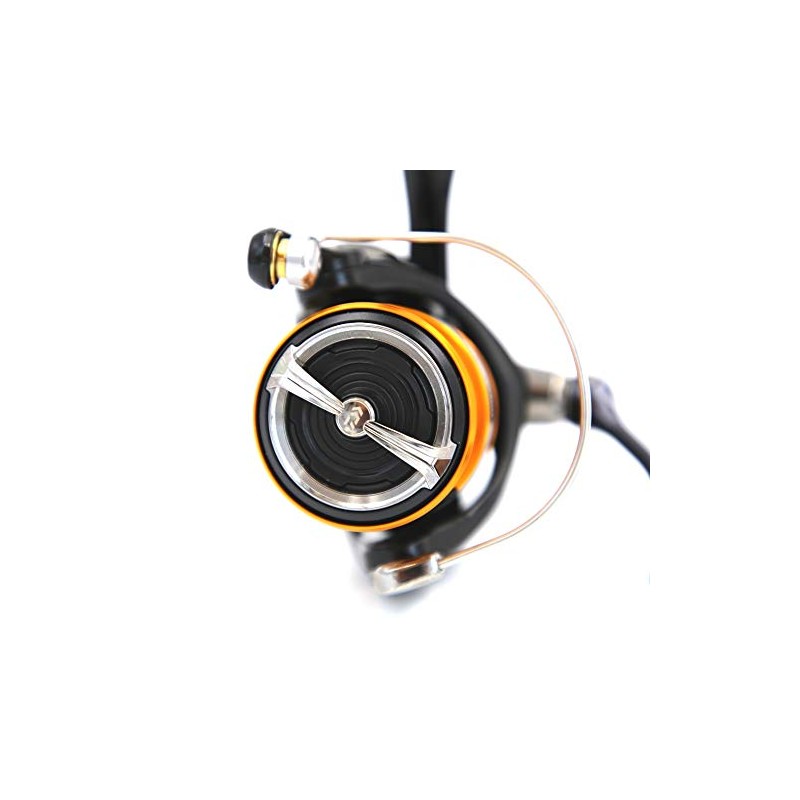 Daiwa 19 Ninja BG LT 2500 Reel