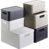 Rotho Country Storage Box 11 Litre Rattan Look, Plastic (Polypropylene)