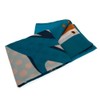 Miami Dolphins Fade Flag