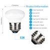 Haian Support China Cabinet Light Bulbs, 4W(25W) Short Light Bulbs,