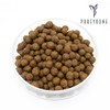 Domestic goji pills 300g+300g / 국산 구기자환 300g+300g