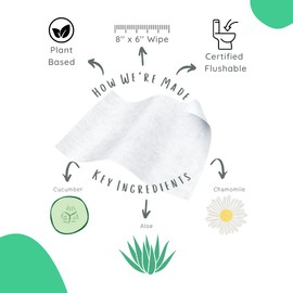 Stall Mates Wipes: Flushable Wipes | 60-Wipe Home Pack | Hypoallergenic | Unscented with Vitamin-E & Aloe | (4 Pack - 240 Total)