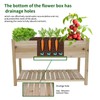 Vivastate Gardening Experience with Wooden Raised Garden Bed Planter Box,