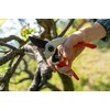 Falket 2030: Professional Pruning Shears Aluminium Ergonomic Handle 21 cm
