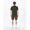 ONLY & SONS Men's Shorts, olive night