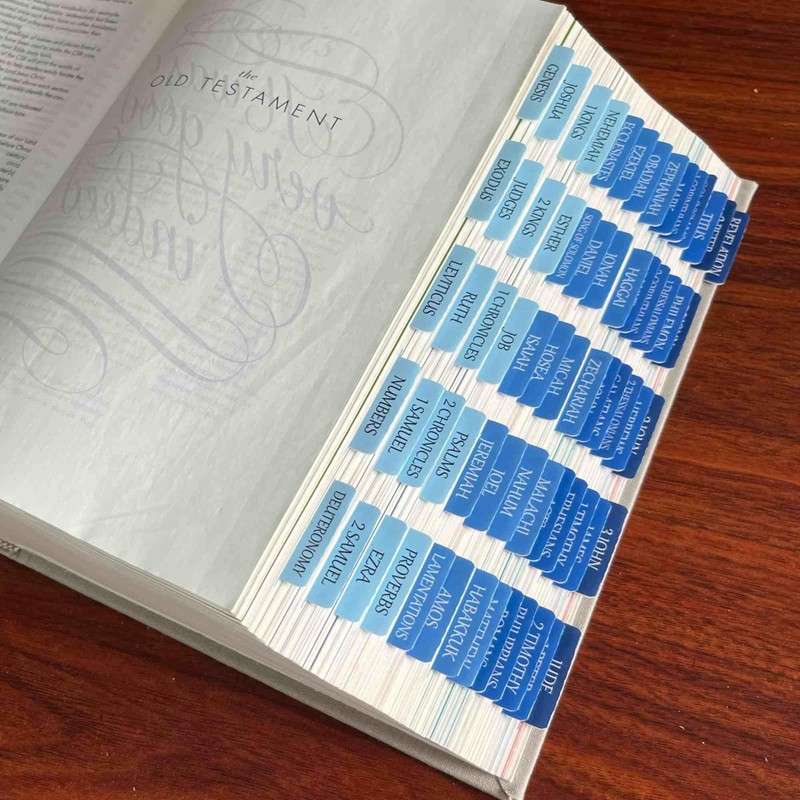 Thinkor Reposition Bible Tabs, Large Print Lanimated Stickers, Easy to