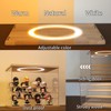 DORYBEN Acrylic Display Case with Adjustable LED Light, 4 Tier
