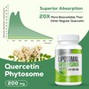 900 mg Liposomal Artemisinin for Maximum Absorption, Sweet Wormwood Extract(Artemisia
