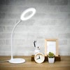 wasser 71 LED Desk Light, Stepless Dimming, Flexible Arm, Adjustable