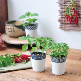 Seishin Pottery Sometsuke Komon (Small Yakumi) Pot, Pepper