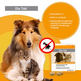 Alfavet Dia Tab 20 x 5,5 g in der praktischen Reiseapotheke