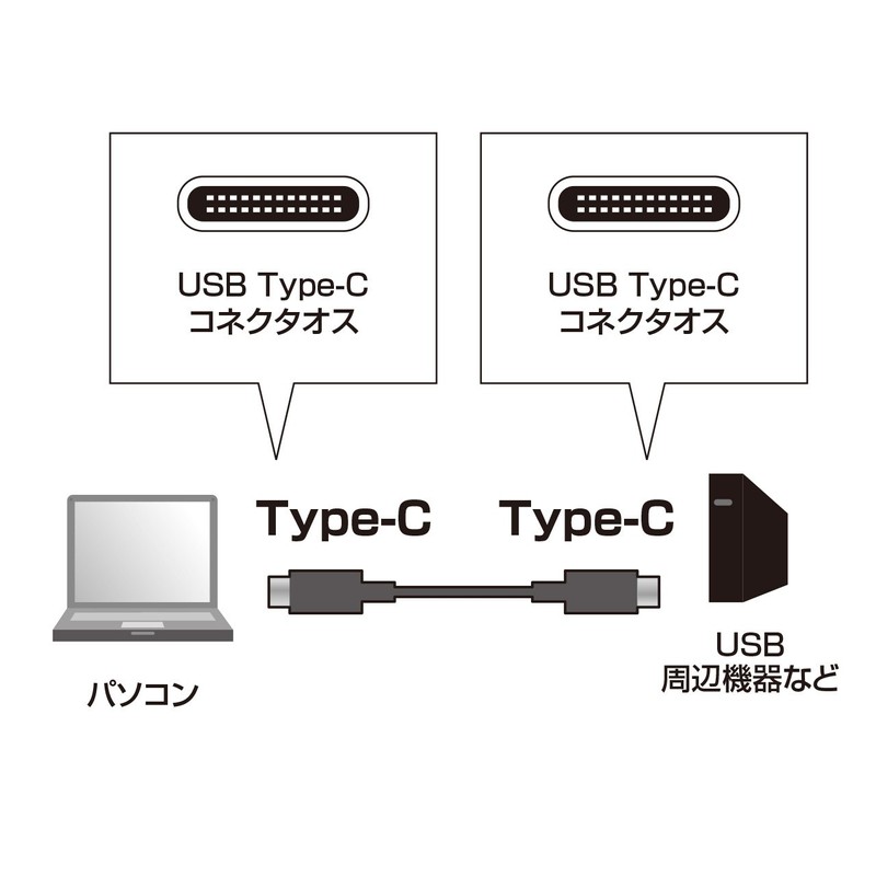 sanwasapurai USB3.0 1 Gen2 TypeC Cable 1 m ku31 –
