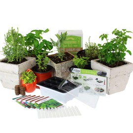 Medicinal & Herbal Tea Indoor Herb Garden Starter Kit - Basic Herb Seeds for Planting - 6 Non-GMO Varieties - Seeds Include Hot Pepper, Yarrow, Echinacea, Calendula, Chamomile, and Lavender