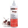 Dominant Liquid Ant Bait, Borax-Based Eliminator, Super Sweet Attractant, Controls