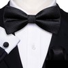 Barry.Wang Black Bow Tie Set Men Striped Silk Pre-Tied Bowtie