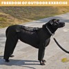 ROZKITCH Dog Surgery Recovery Suit to Prevent Licking, Elbow and
