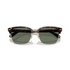 Coach 0HC8412 Light Gold/Dark Tortoise 56 Sunglasses, Light Gold /