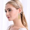 Aishgjia Gradient Crystal Long Chandelier Tassel Dangle Earrings for Women