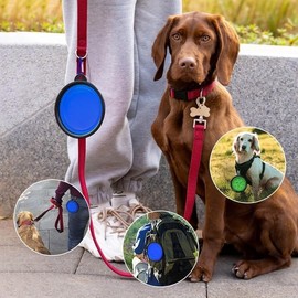 2-Pack Collapsible Dog Bowls – Portable Silicone Travel Water & Food Bowl for Dogs – Foldable, Leak-Proof Pet Bowls for Camping, Road Trips & Daily Use – Dog Travel Essentials(350ml)