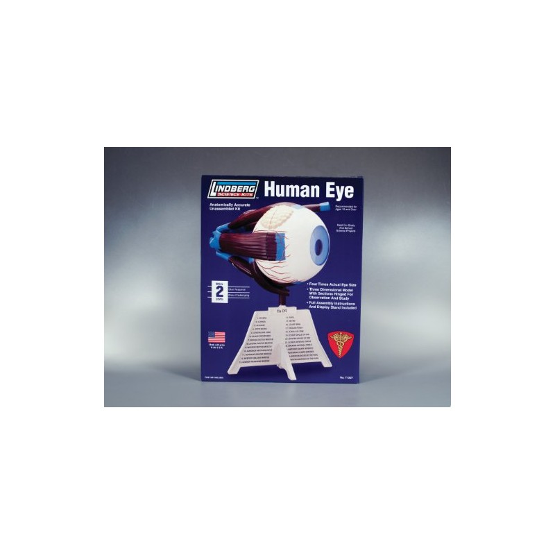 Lindberg Human Eye