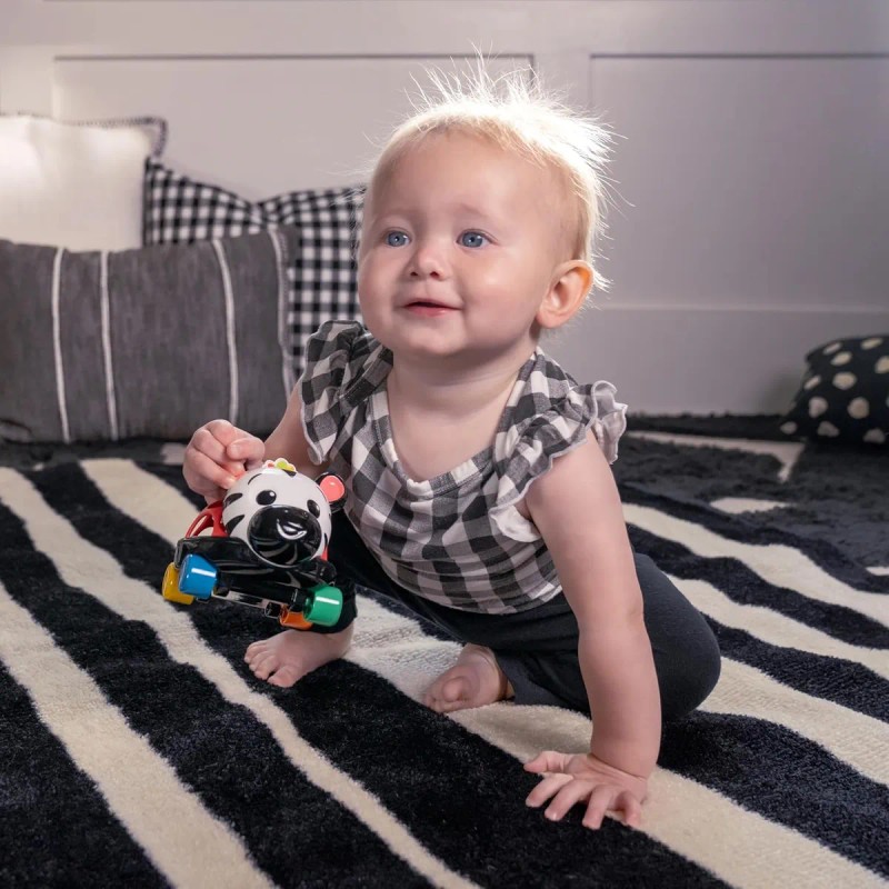 Baby Einstein Curious Car Zen Oball Coche De Juguete Y